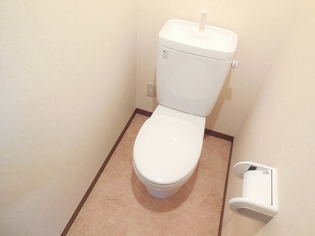Other room space. Toilet with cleanliness