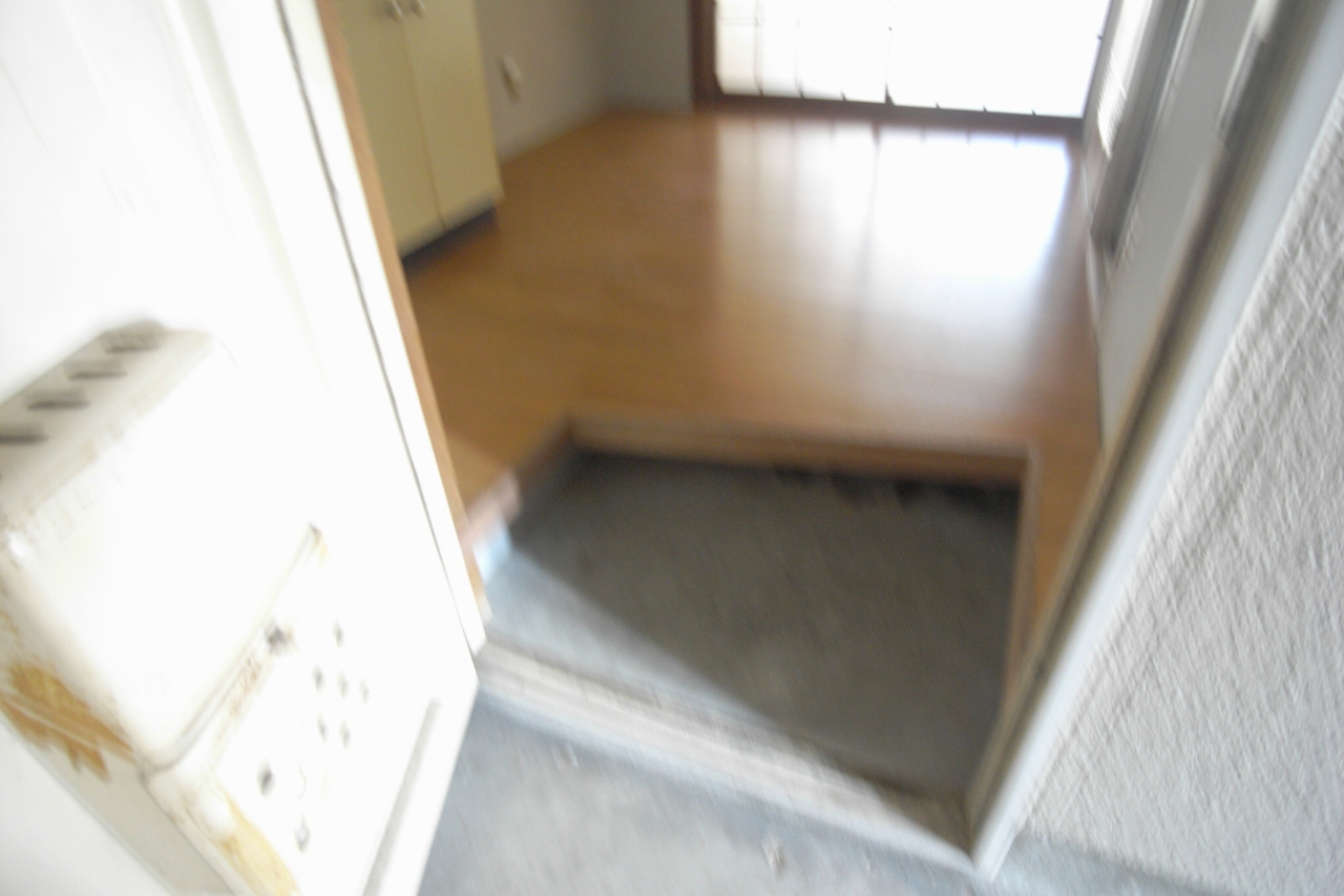 Entrance. Another room (image)