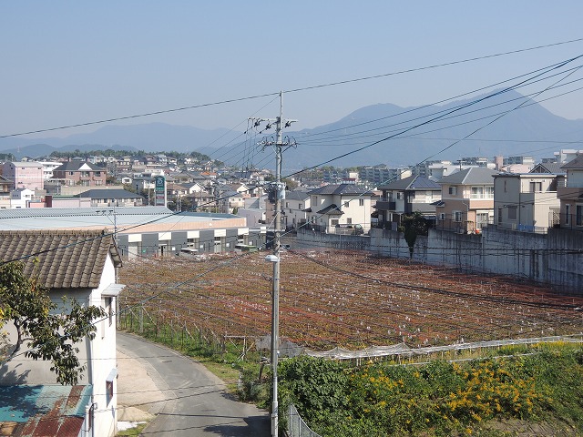 Other. It's tranquil and there is a vineyard close