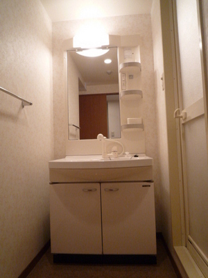 Washroom. Wash basin