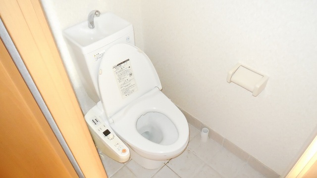 Other room space. Shower toilet