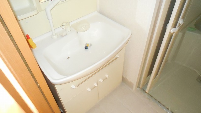 Other room space. Shampoo dresser