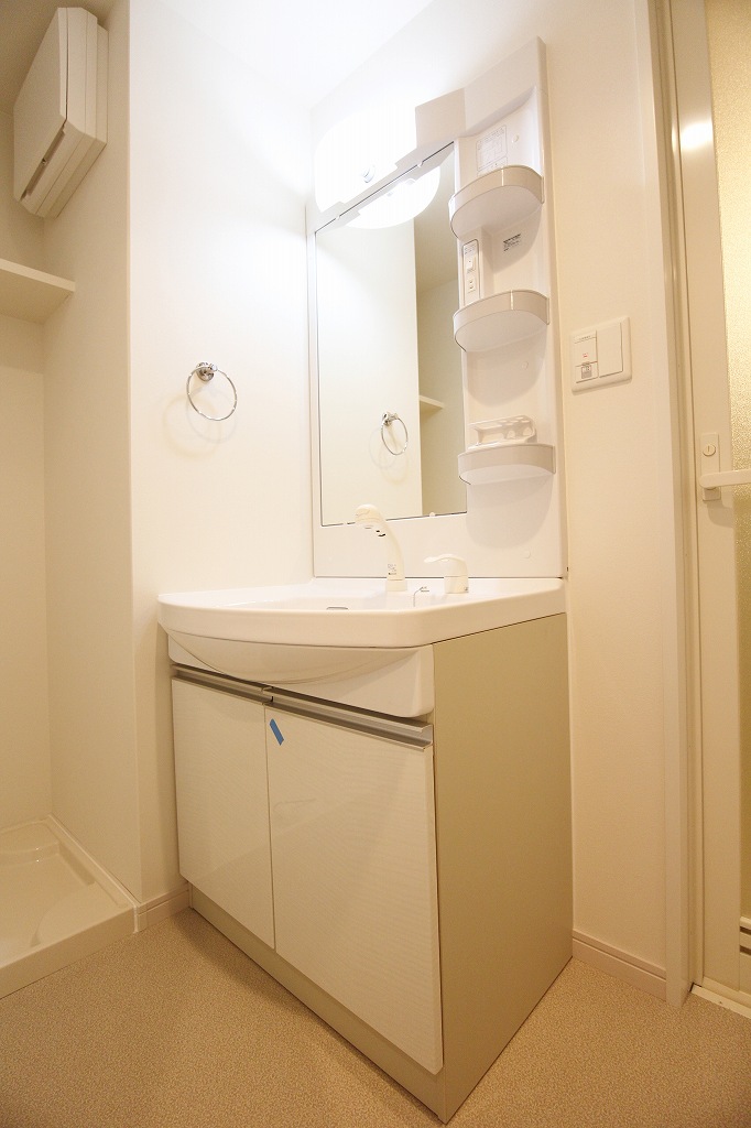 Washroom. Shampoo dresser