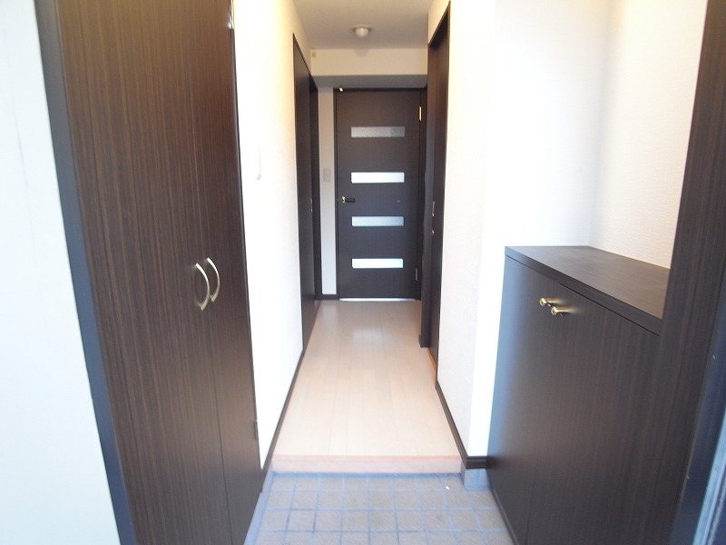 Entrance. A calm dark brown of joinery