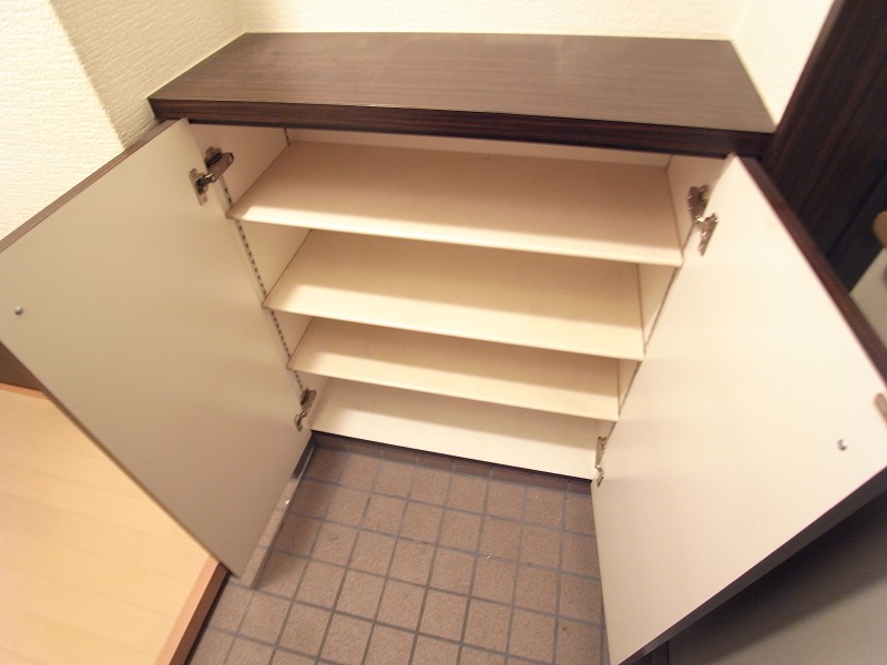 Receipt. Shoes closet