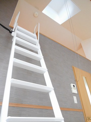 Other room space. Ladder