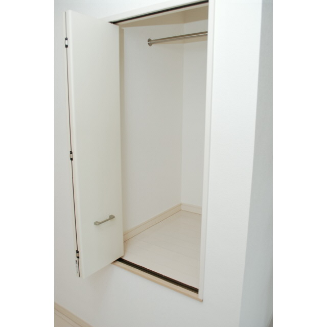 Other. Isomorphic type