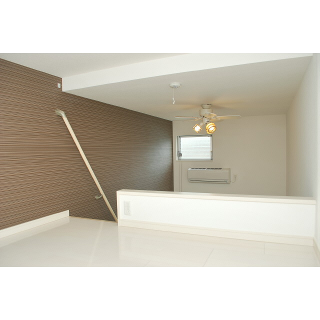 Other. Isomorphic type