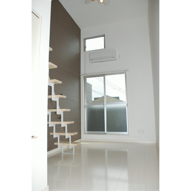 Other. Isomorphic type