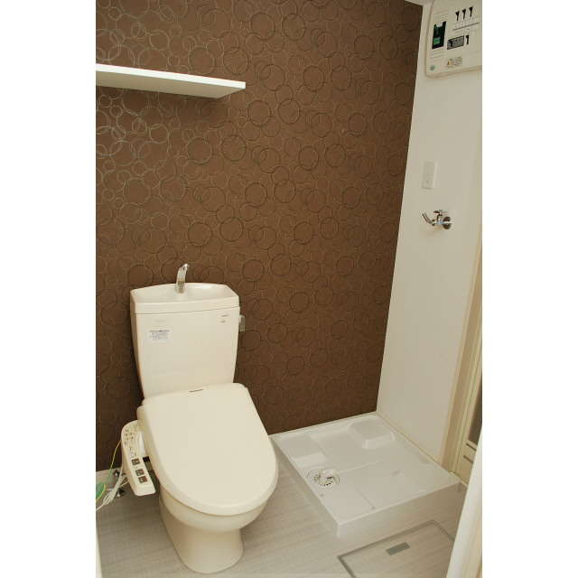 Other. Isomorphic type