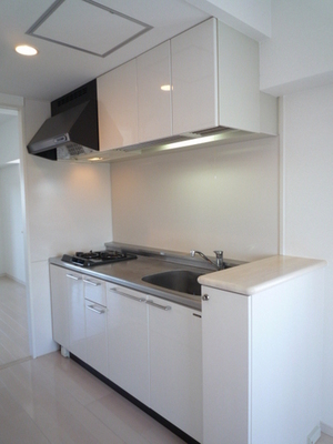 Kitchen. System kitchen