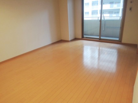 Other room space. Western style room