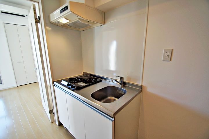 Kitchen. System Kitchen (2 lot gas stoves)