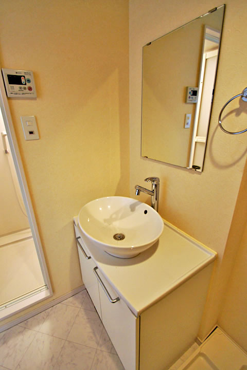 Washroom. Bathroom vanity