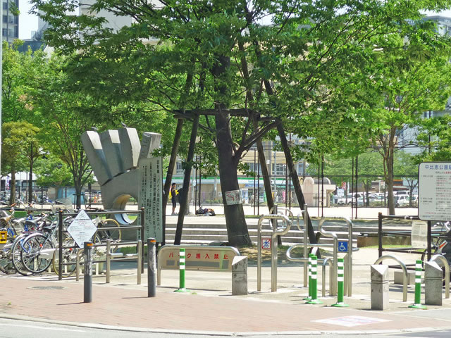 park. 200m to medium barnyard park (park)