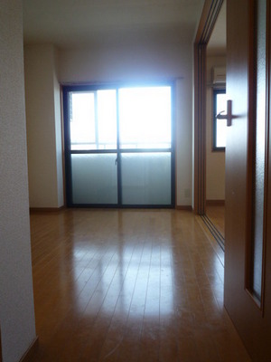 Living and room. Interior