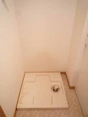 Washroom. Washing machine in the room