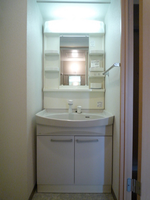 Washroom. Wash basin