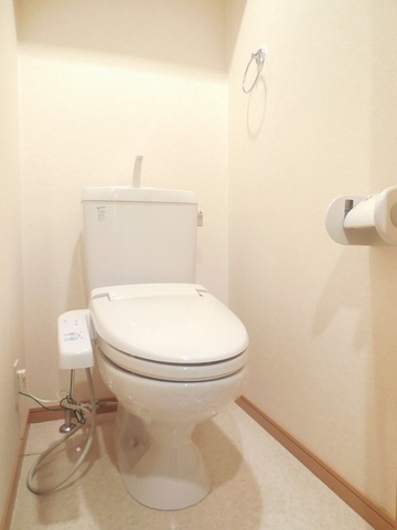 Other room space. Toilet with cleanliness
