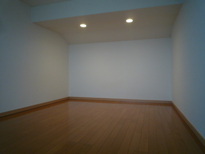 Living and room. loft