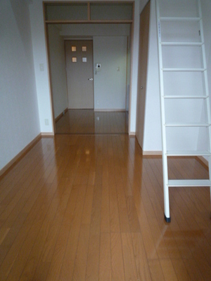 Living and room. Interior