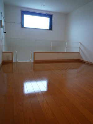 Living and room. With loft