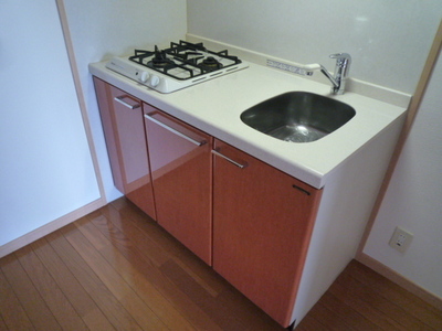 Kitchen. System kitchen