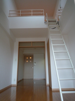 Living and room. Interior