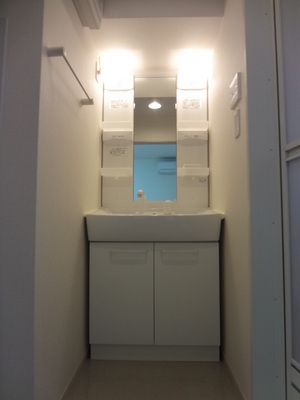 Washroom. Shampoo dresser