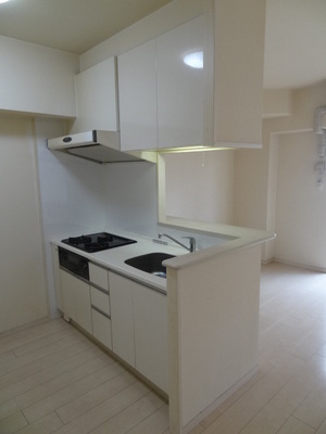 Kitchen. System kitchen