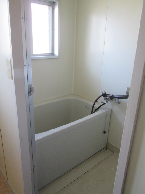 Bath. Bright bathroom.