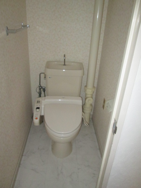 Toilet. Toilet cleaning toilet seat.