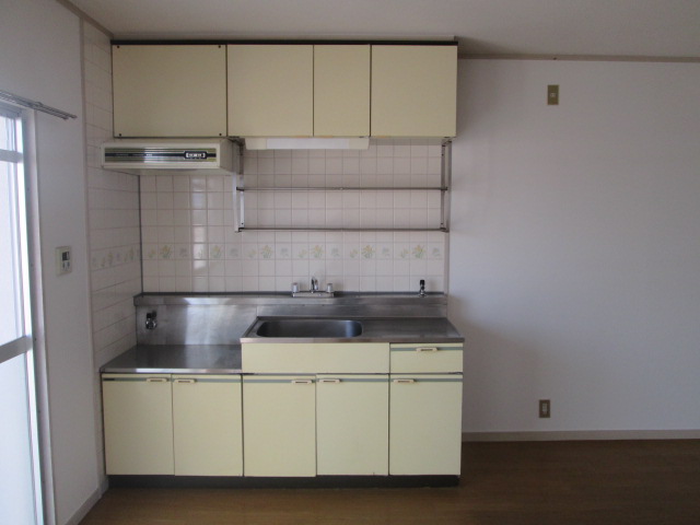 Kitchen. Bright kitchen.