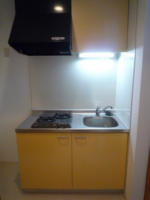 Kitchen. System kitchen