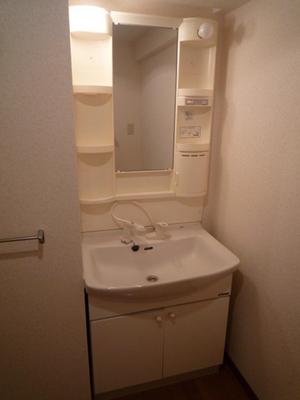 Washroom. Wash basin