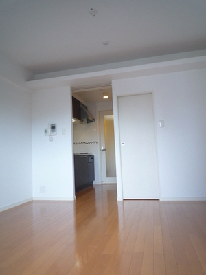 Living and room. Western style room