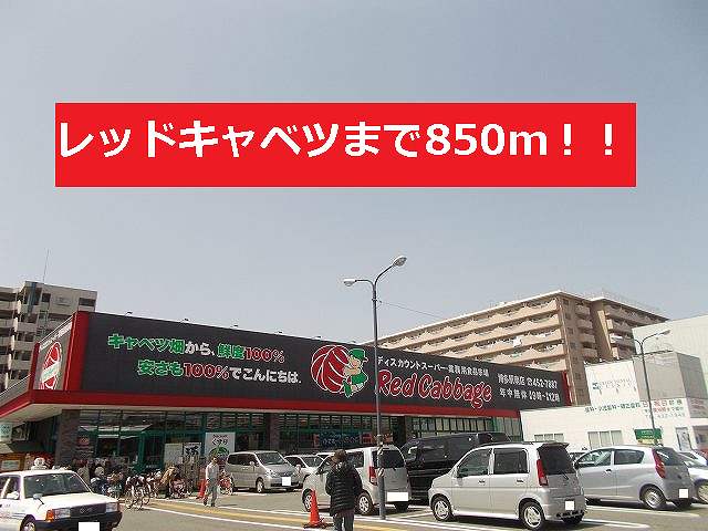 Supermarket. Red 850m until the cabbage (super)
