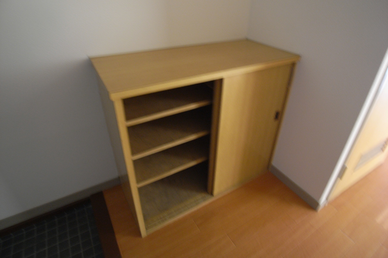 Entrance. Another room (image)