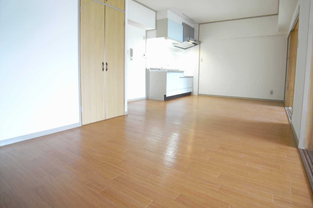 Living and room. Another room (image)