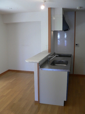 Kitchen. Counter Kitchen