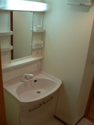 Washroom. Shampoo dresser