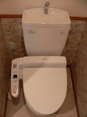 Toilet. Bidet