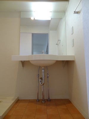 Washroom. Wash basin