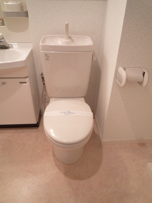 Toilet. Toilet