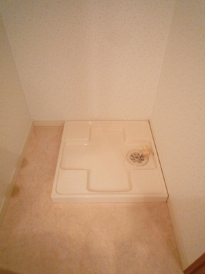 Other Equipment. Washing machine in the room