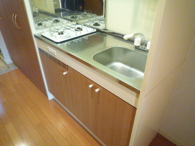 Kitchen. System kitchen
