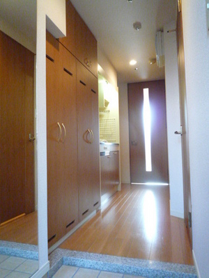 Entrance. Entrance hall