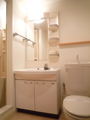 Washroom. Wash basin