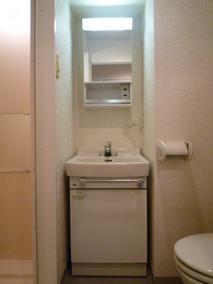 Washroom. Wash basin