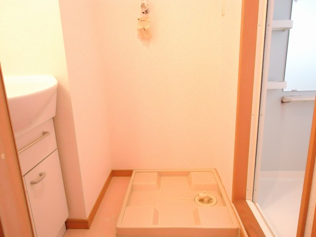 Other room space. Indoor Laundry Storage